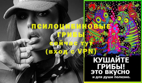 мдма Богданович