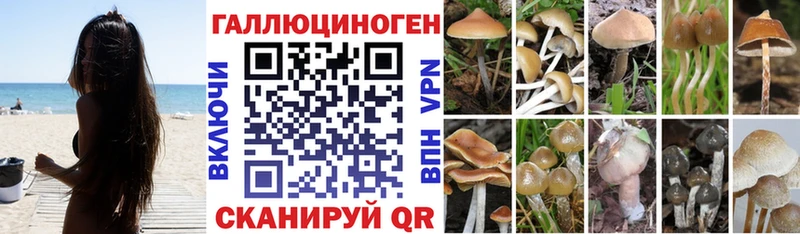 Псилоцибиновые грибы MAGIC MUSHROOMS  наркошоп  Наволоки 